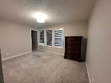 Secord 3 Bed 3.5 Bath Dbl Garage Home Edmonton - Photo 20