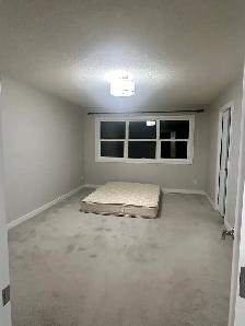 Secord 3 Bed 3.5 Bath Dbl Garage Home Edmonton - Photo 35