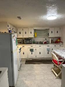 Fantastic Basement Apartment -Danforth/Greenwood - Photo 3