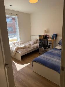 2-BEDROOM IN DORVAL - NEW CONSTRUCTION - PETS WELCOME - Photo 5