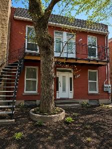3.5 Appart du haut |  près de Laurier | Dispo immédiate - Photo 8