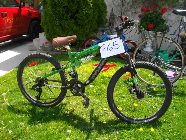 24' mountain bike