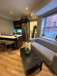 Furnished bedroom lease transfer, Sep 1st - April 31st! - Photo 2