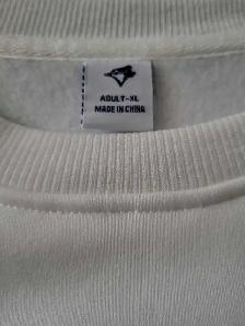 Blue Jays 2025 AL Champions Sweater - Photo 3