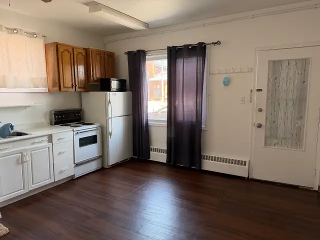 Bachelor for rent