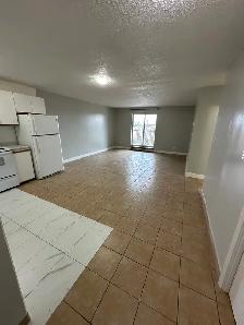 3 Bedroom Apartment Available Now in Minnow Lake Area - Photo 2