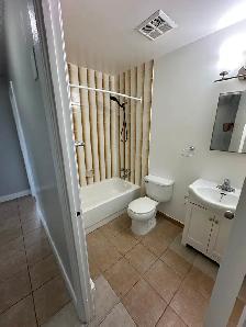 3 Bedroom Apartment Available Now in Minnow Lake Area - Photo 4