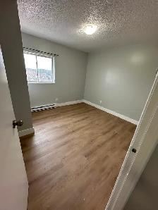 3 Bedroom Apartment Available Now in Minnow Lake Area - Photo 7