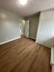 3 Bedroom Apartment Available Now in Minnow Lake Area - Photo 8