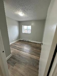 3 Bedroom Apartment Available Now in Minnow Lake Area - Photo 9