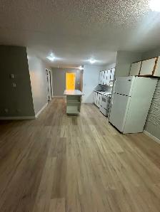 Two Bedroom Available Now in Minnow Lake - Photo 2