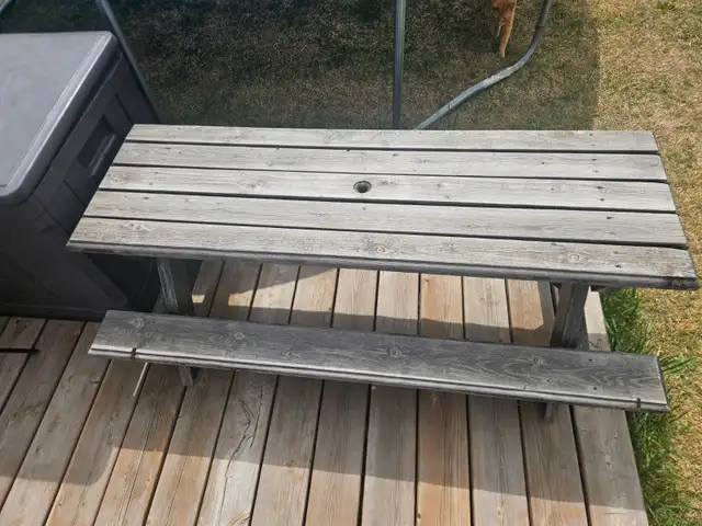 Kid's Wooden Picnic Bench