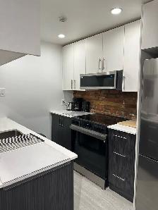 Downtown Furnished  Penthouse 3 Bedroom - Photo 4