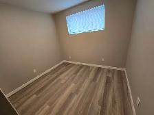 For Rent: New 2 bedroom/1 bath Basement Suite - $1,550.00/month - Photo 7