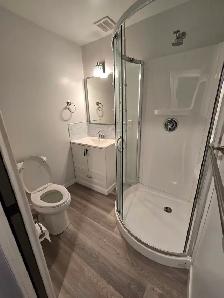 For Rent: New 2 bedroom/1 bath Basement Suite - $1,550.00/month - Photo 9
