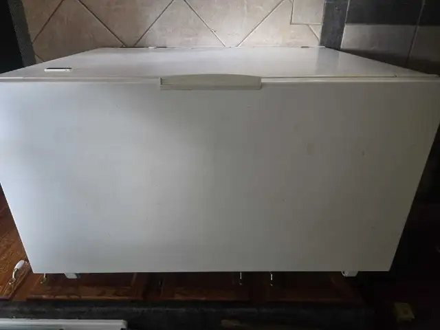 Reliable Older Freezer – Works Great – $250