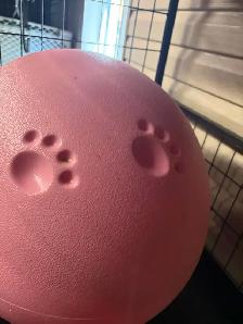 Lit pour chat ou chien - Photo 3