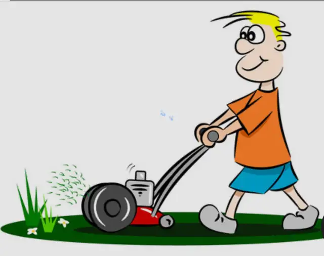 Lawn Care Needed in River Hebert