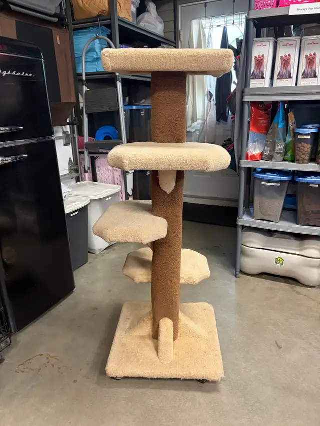 Arbre à chat