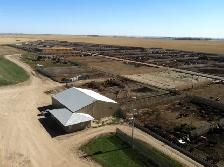 Full-Time Farm & Feedlot Labourer