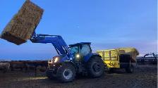 Full-Time Farm & Feedlot Labourer - Photo 2