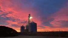 Full-Time Farm & Feedlot Labourer - Photo 4