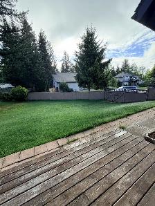 Unfurnished 2 Bed, 1 Bath Basement Suite in House - Photo 3