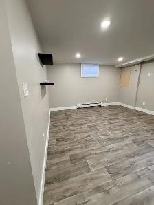 Unfurnished 2 Bed, 1 Bath Basement Suite in House - Photo 11