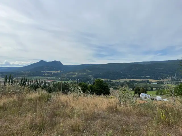 40 acres land $ greenhouse for lease in Coldstream