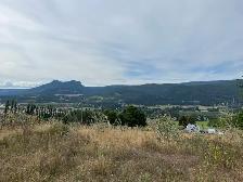 40 acres land $ greenhouse for lease in Coldstream
