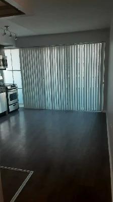 1 Bedroom for Rent  36 Lisgar St. (Queen W. & Dovercourt Rd) - Photo 4