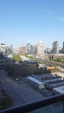 1 Bedroom for Rent  36 Lisgar St. (Queen W. & Dovercourt Rd) - Photo 9