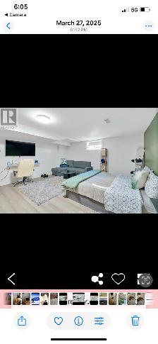 Studio for rent for