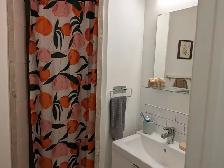 One Bedroom Apartment - Photo 10