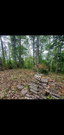 Terrain Saint-Jean-de-Matha - Photo 4