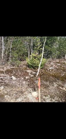 Terrain Saint-Jean-de-Matha - Photo 10