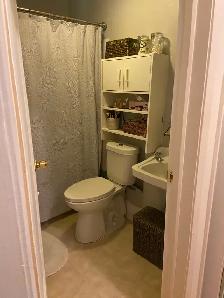 Spacious bachelor apartment for $1550 in downtown - Photo 2