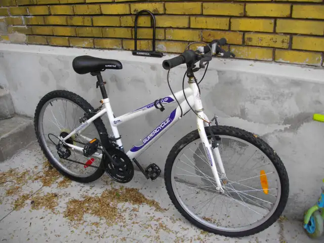 HANDY MAN SPECIAL 24 INCH MOUNTAIN BIKE
