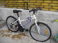 HANDY MAN SPECIAL 24 INCH MOUNTAIN BIKE