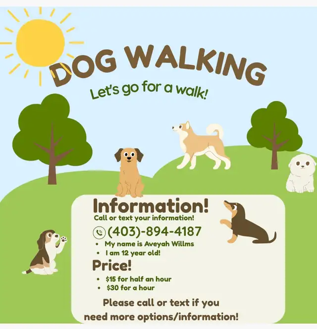 dog walking in Coaldale
