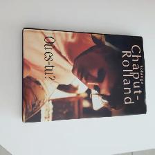 BON ROMAN NEUF D'AMOUR DE SOLANGE CHAPUT-ROLLANT 201 PAGES $5.00 - Photo 3