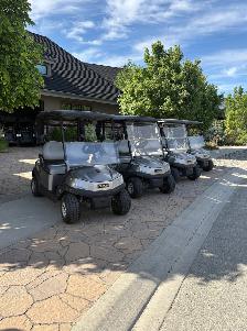 Club Car Tempo Golf Carts Available! - Photo 5