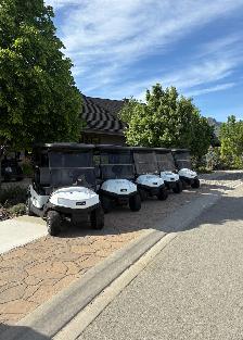 Club Car Tempo Golf Carts Available! - Photo 6