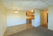 MAIN FLOOR – 1 BDRM – CAT FRIENDLY - Photo 2