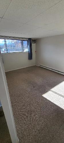 MAIN FLOOR – 1 BDRM – CAT FRIENDLY - Photo 3