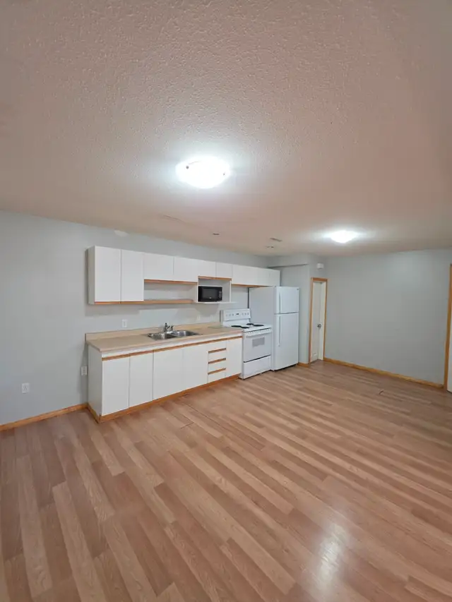 Massive 1 Bed 1 Bath Legal Basement Suite - Pet Friendly!