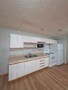 Massive 1 Bed 1 Bath Legal Basement Suite - Pet Friendly! - Photo 2