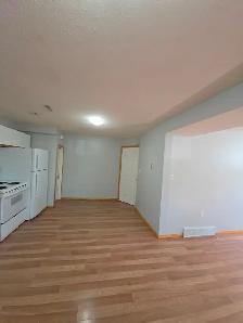 Massive 1 Bed 1 Bath Legal Basement Suite - Pet Friendly! - Photo 3
