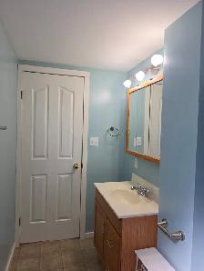 Massive 1 Bed 1 Bath Legal Basement Suite - Pet Friendly! - Photo 9