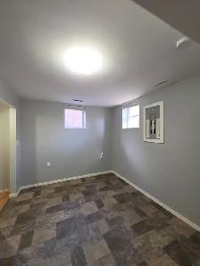 Massive 1 Bed 1 Bath Legal Basement Suite - Pet Friendly! - Photo 12